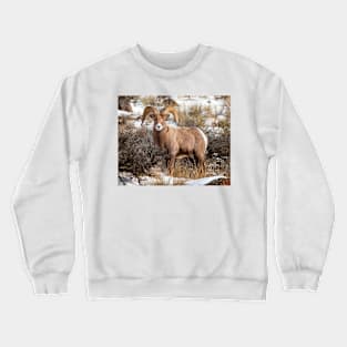 Bighorn Sheep Crewneck Sweatshirt